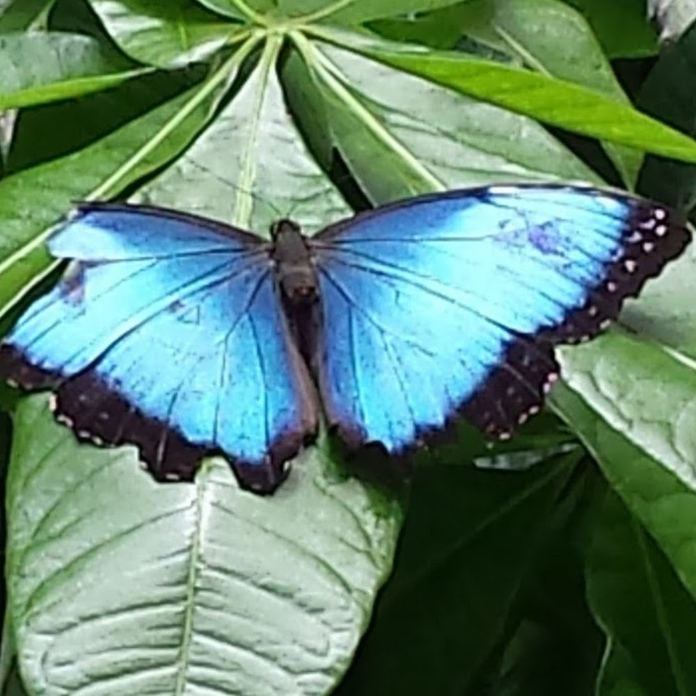 Meet your Posher, Corina